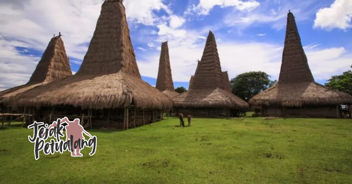 Rumah adat larantuka dengan arsitektur tradisional